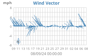 Wind Vector