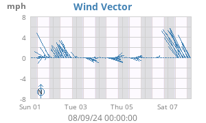 Wind Vector