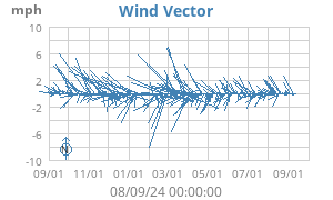 Wind Vector